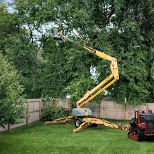  Thedral City, CA Tree Services Pros